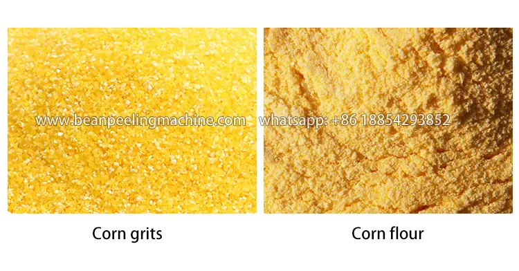 corn grits and corn flour.webp